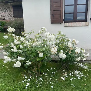 Casa di campagna Romantico, Radicofani